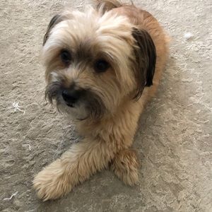 Meet your Posher, Miles